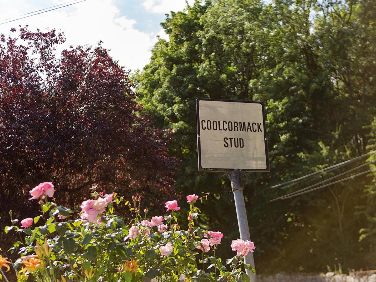 Coolcormack Stud B&B Дангарван Екстер'єр фото